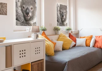 Sichtschutzfolie Cuddly Koala - quadratisch Sichtschutzfolie Cuddly Koala - quadratisch