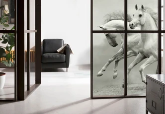 Window foil Horses 