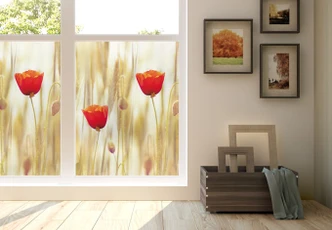 Sichtschutzfolie Poppies - quadratisch Sichtschutzfolie Poppies - quadratisch