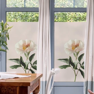 Sichtschutzfolie Sisi & Seb - Zart 