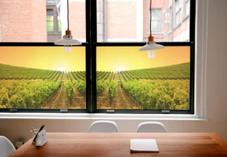 Window foil Vineyard sunset 