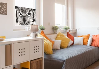 Window foil – Proud Owl 