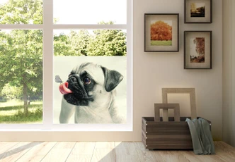 Sichtschutzfolie Tierische Zuneigung 