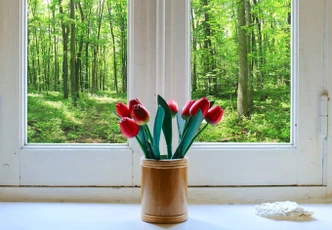 Raamfolie Forest panorama 