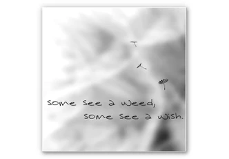 Wandbild Some see a weed... (2-teilig) 