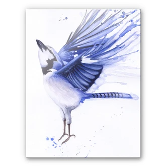 Spritzschutz Müller - Blaumeise 