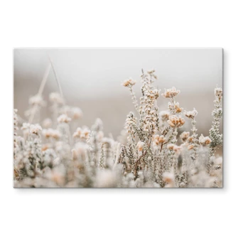 Spatscherm Annie - Ice Flowers 