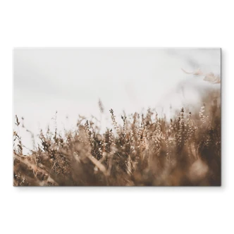 Spatscherm Annie - Meadow Grass 