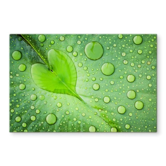 Pannello paraschizzi foto - Cuore fatto di gocce d'acqua su una foglia verde 