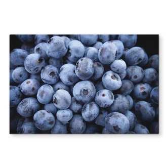 Spritzschutz Blaubeeren 