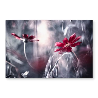 Spatscherm Bravin - Flower Dance Spatscherm Bravin - Flower Dance