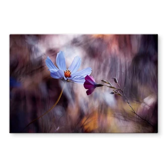 Spatscherm Glas - Bravin - Rendezvous of Two Flowers Spatscherm Glas - Bravin - Rendezvous of Two Flowers