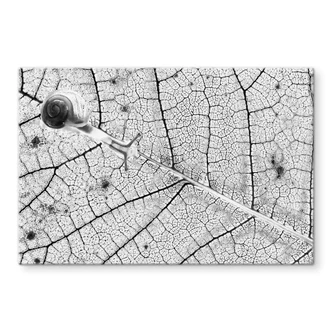 Spatscherm Bravin - Transparanten Spatscherm Bravin - Transparanten