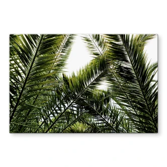 Pannello paraschizzi - Palme 