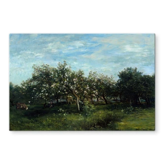 Spatscherm Daubigny - Appelbomen 