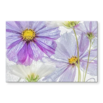 Stænkplade - Disher - Frozen Flowers 