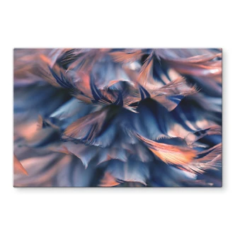 Crédence Plumage 