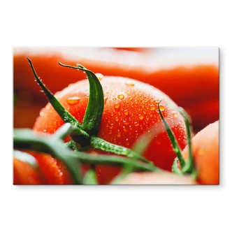 Spritzschutz Fresh Tomato 