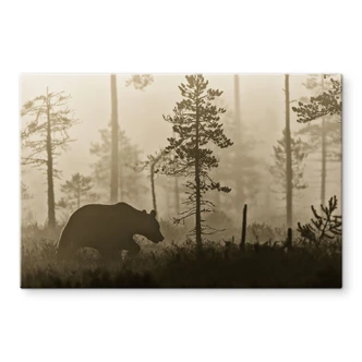 Spatscherm Ove Linde - Ochtendmist 