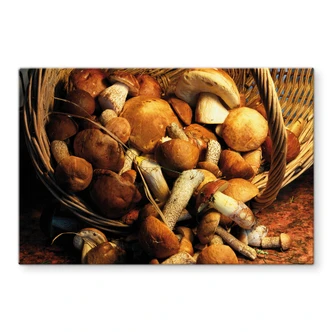 Spritzschutz Pilzkorb 