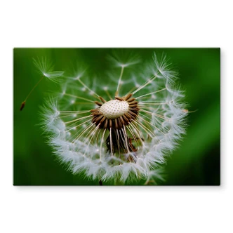 Pannello paraschizzi  Soffione nel vento 