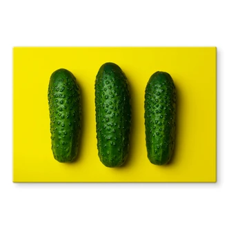 Spritzschutz Saure Gurken Spritzschutz Saure Gurken