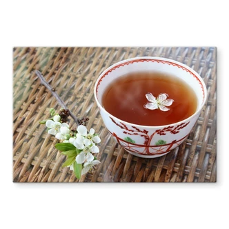 Spritzschutz Teatime 