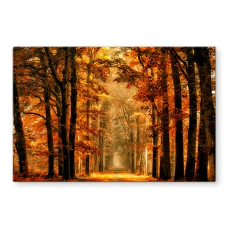 Spatscherm van de Goor - Herfst 