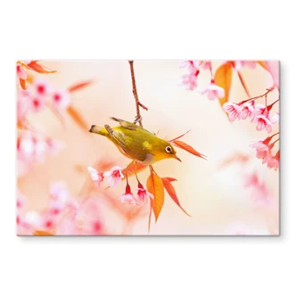 Bird in Cherry Blossoms - Kitchen Splashback 