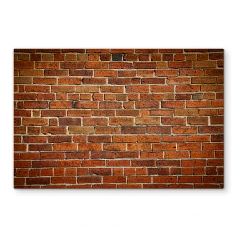 Spatscherm Bakstenen Muur 