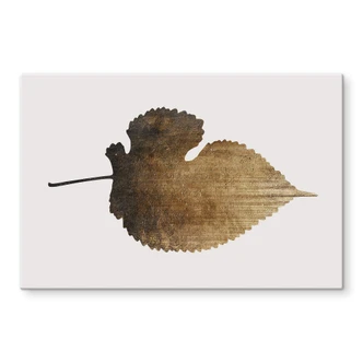 Stænkplade - Kubistika - Gyldent blad Stænkplade - Kubistika - Gyldent blad