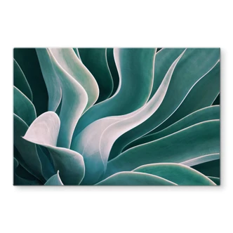 Pannello paraschizzi Wechsler - Pianta di agave alla luce del mattino 