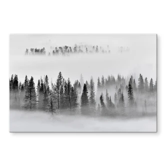 Crédence Xu - Foggy Forest 