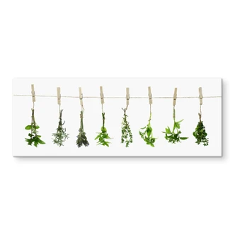 Spritzschutz Kräuter - Panorama 