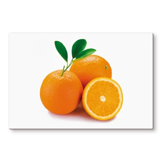 Spritzschutz Oranges 