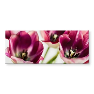 Spatscherm Bsmart - Tulips 