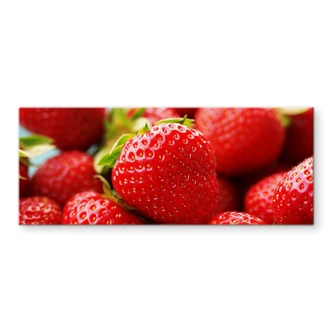 Spritzschutz Erdbeeren aus dem Garten - Panorama Spritzschutz Erdbeeren aus dem Garten - Panorama