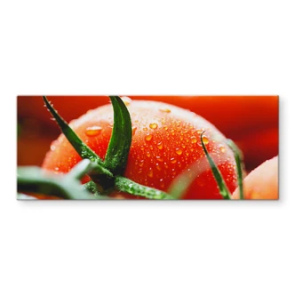 Spritzschutz Fresh Tomato - Panorama 