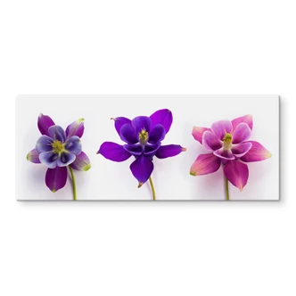 Spatscherm Prachtbloemen 