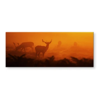 Deer at Sunset - Kitchen Splashback Deer at Sunset - Kitchen Splashback