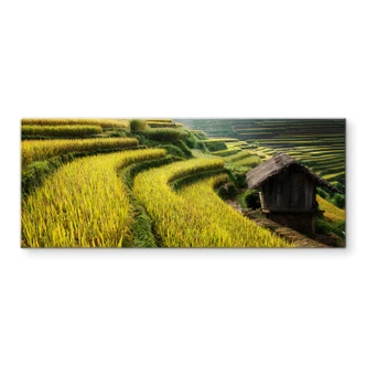 Crédence Intarob - rizières au Vietnam - panorama 