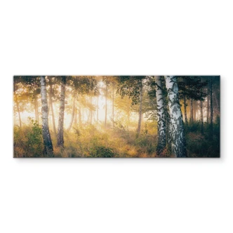 Crédence Soleil dans la forêt de bouleaux - Kado - Panorama 