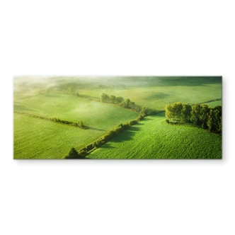 Spritzschutz Idyllische Felder im Nebel - Keller - Panorama 