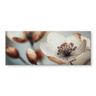 Spatscherm Boho gedroogde bloemen macro - Treechild - Panorama 