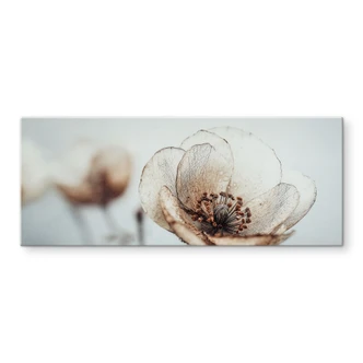 Pannello paraschizzi Fiore secco Beige Poesia della natura - Treechild - Panorama 