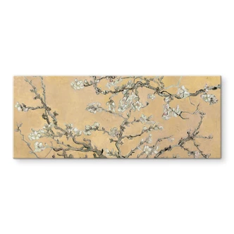Spatscherm van Gogh Amandelbloesem crème - panorama 