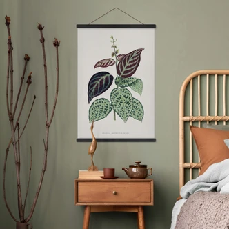 Stoffbild Blatt Illustration - Bignonia Argyro Violascea 