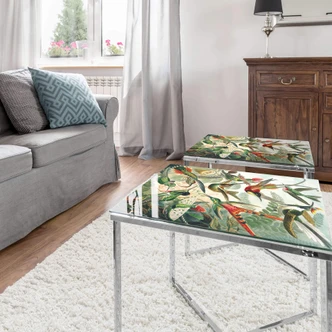 Glazen Tafelblad Haeckel - Hummingbirds 