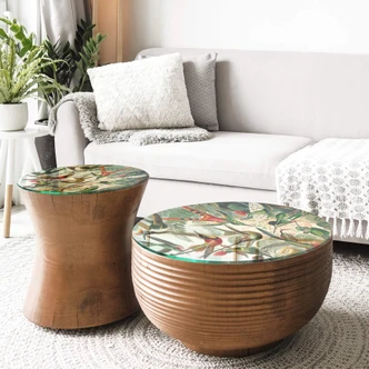 Glazen Tafelblad Rond - Haeckel - Hummingbirds 