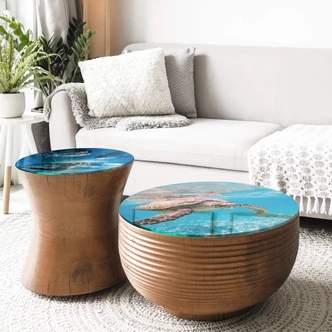 Glazen Tafelblad Rond Traveling Turtle 